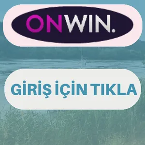 Onwin giriş